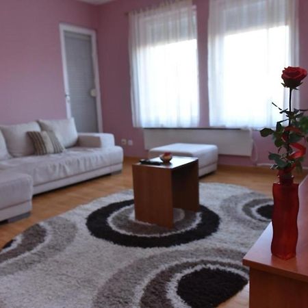 Promenada Apartmani Kruševac Kültér fotó